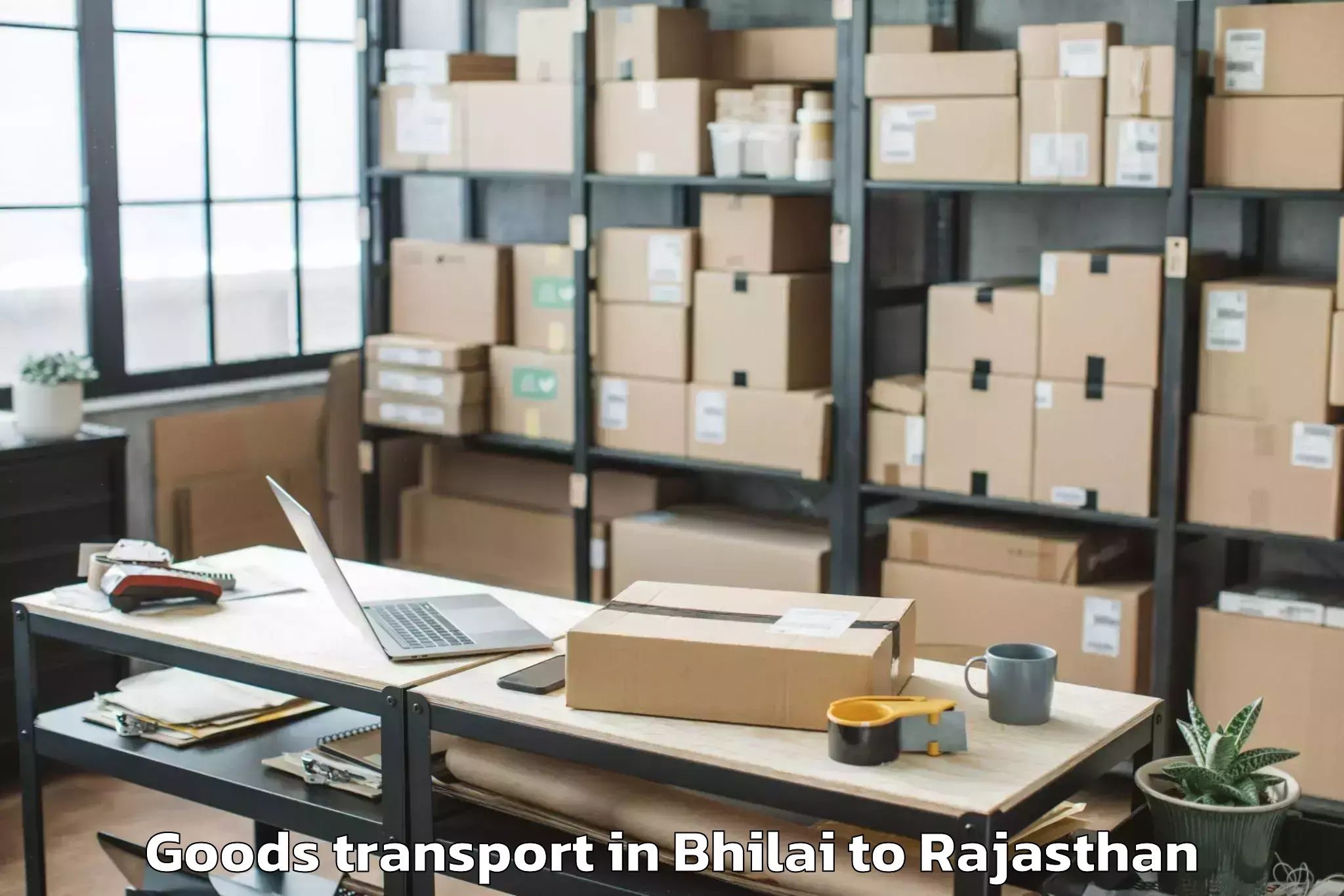 Top Bhilai to Sanganeer Airport Jai Goods Transport Available